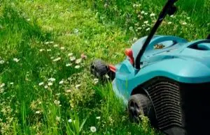 Best Cordless Lawn Mower for Large Yards