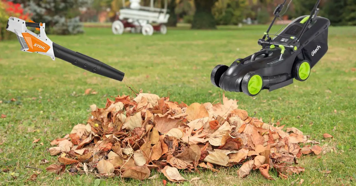 Cordless Lawn Mower And Leaf Blower The Gardener's Shed