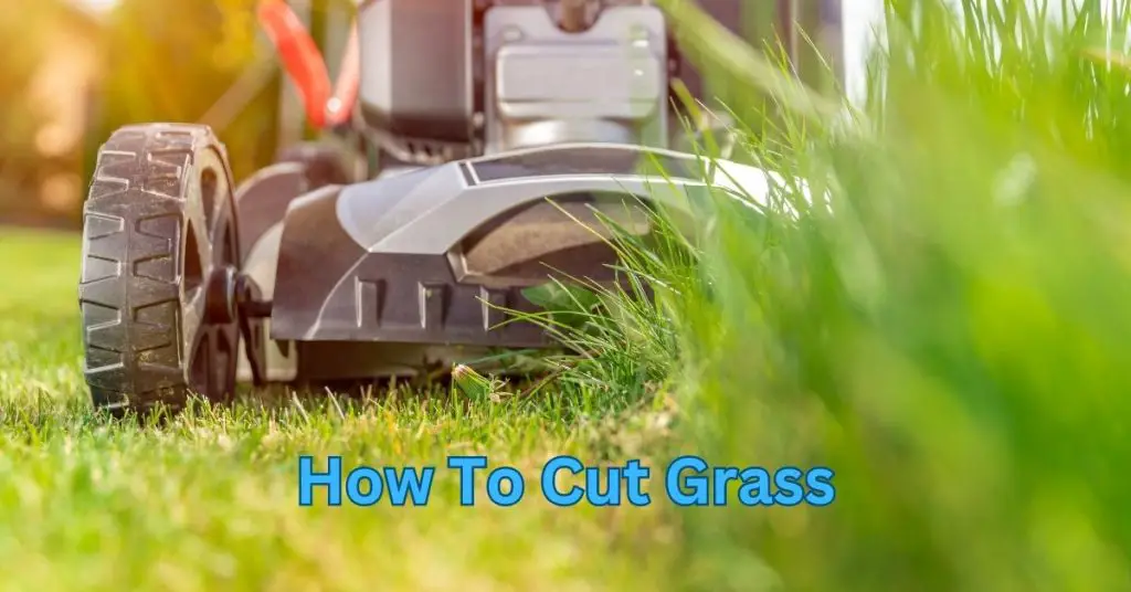How To Cut Grass