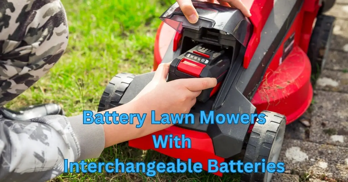 Battery lawn mowers with interchangeable batteries The Gardener's Shed